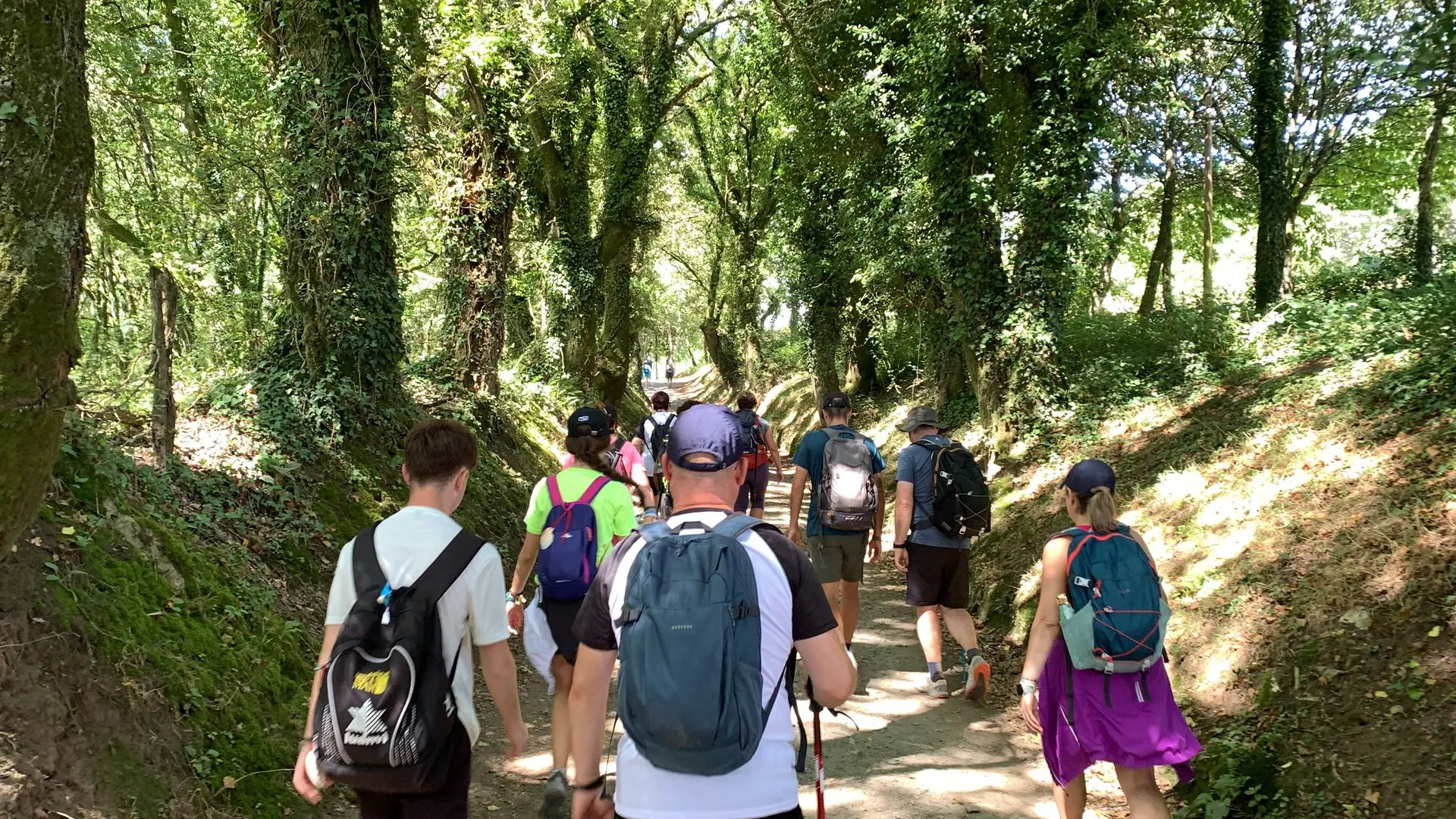 viaje grupal al camino de santiago de