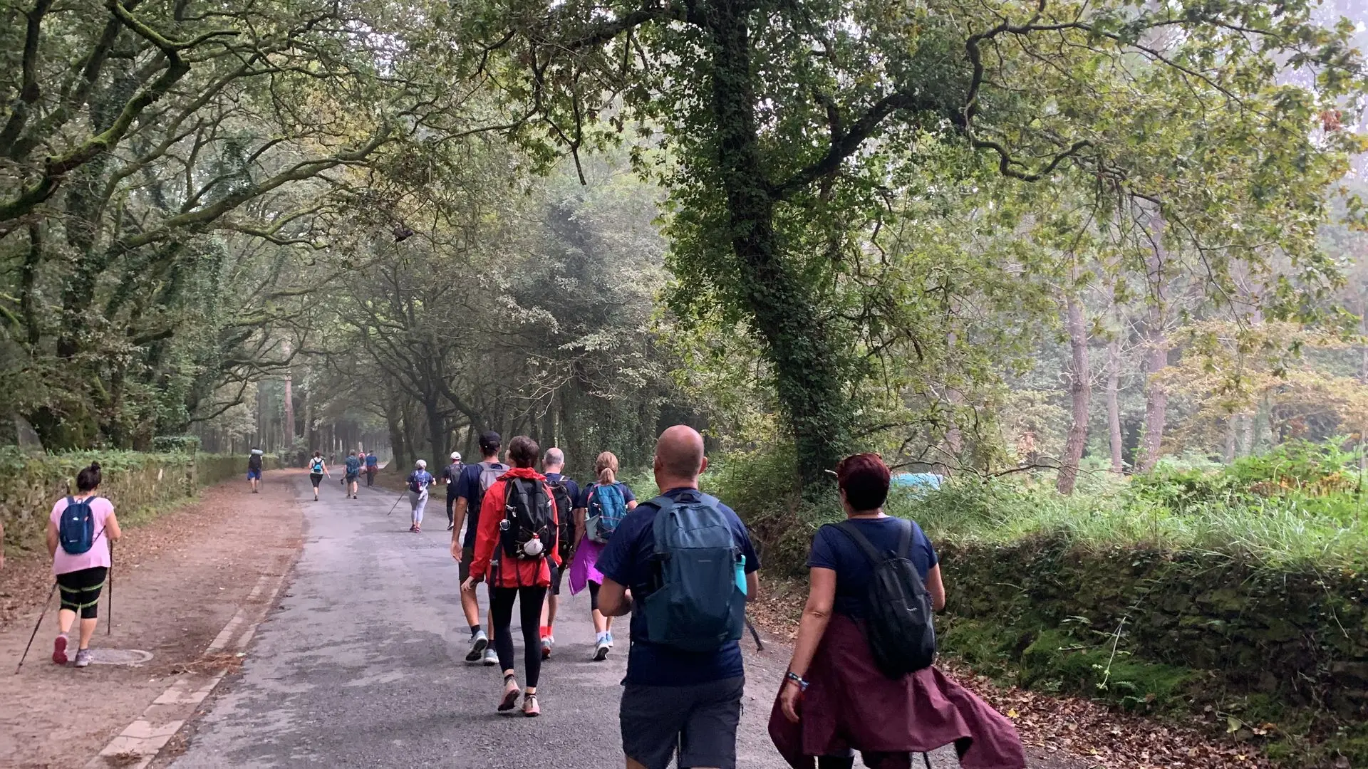 peregrinos camino de santiago